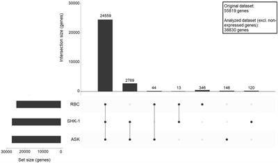 Transcriptomics of early responses to purified Piscine orthoreovirus-1 in Atlantic salmon (Salmo salar L.) red blood cells compared to non-susceptible cell lines